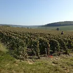 Flor'ever En Champagne *