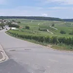 Flor'ever En Champagne
