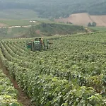 아파트 Flor'ever En Champagne