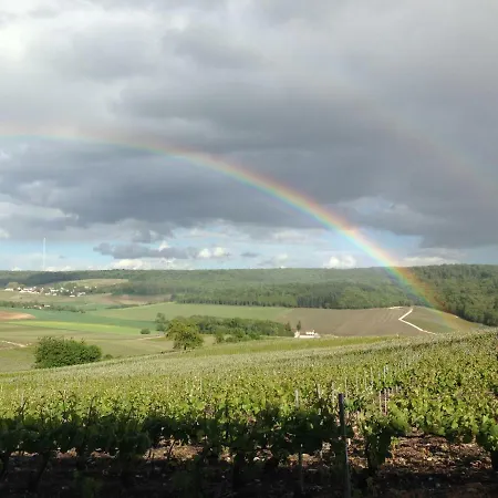 Flor'ever En Champagne Fleury-la-Riviere