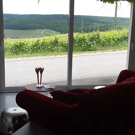 Apartman Flor'ever En Champagne Fleury-la-Rivière