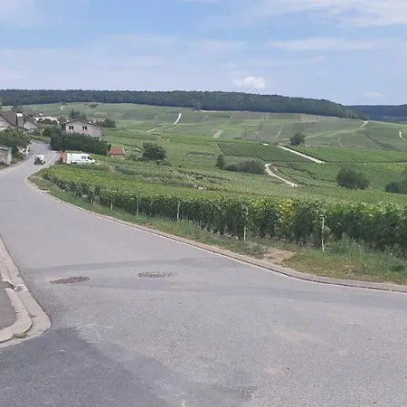 Flor'ever En Champagne