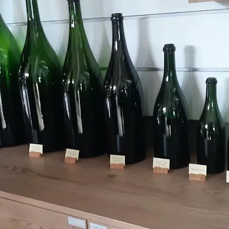 Flor'ever En Champagne Fleury-la-Rivière