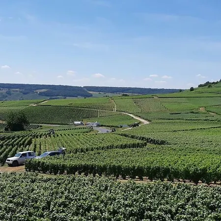 Apartman Flor'ever En Champagne