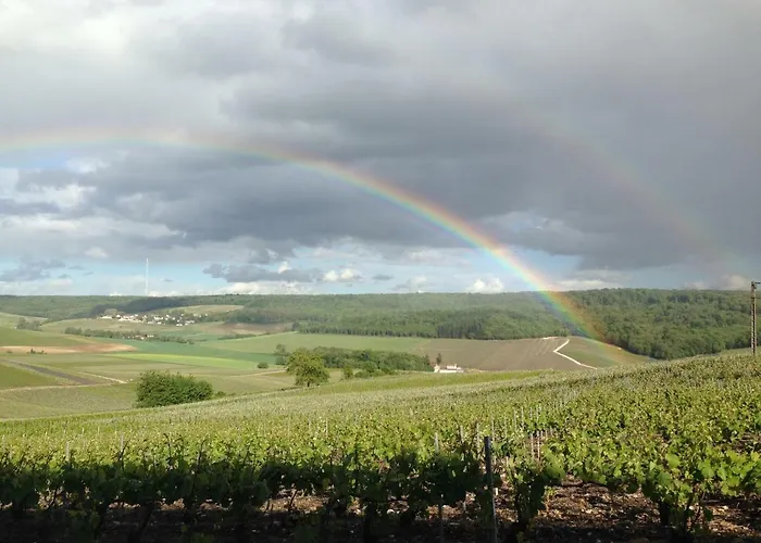 Flor'ever En Champagne Fleury-la-Riviere