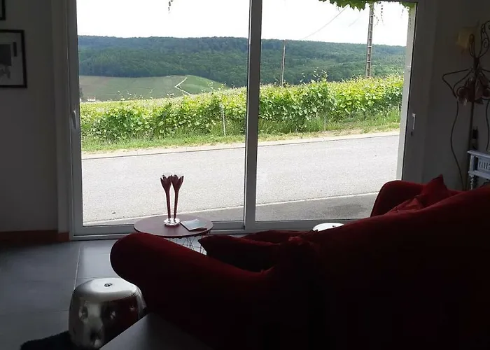 アパート Flor'ever En Champagne Fleury-la-Riviere