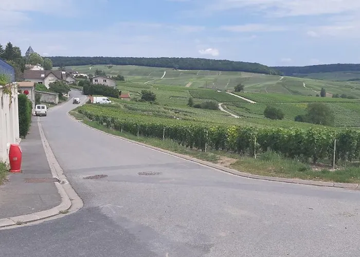 Flor'ever En Champagne