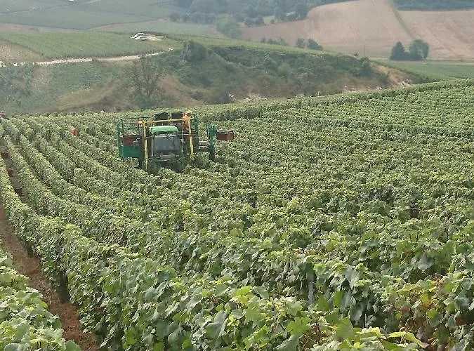 アパート Flor'ever En Champagne