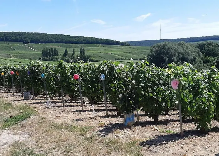 Appartamento Flor'ever En Champagne