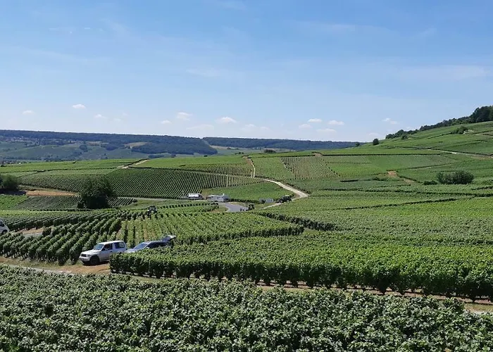 アパート Flor'ever En Champagne